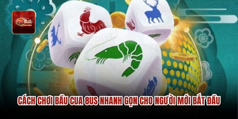 Cách chơi Bầu cua 8us nhanh gọn cho người mới bắt đầu